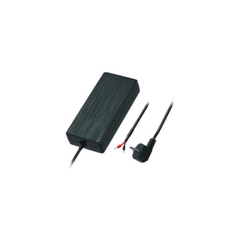 Teltonika EU 2-pin power supply, 250W